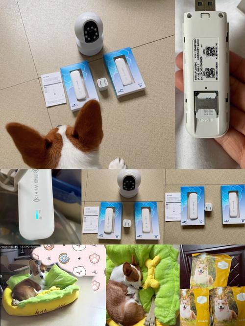 迷你随身wifi流量卡