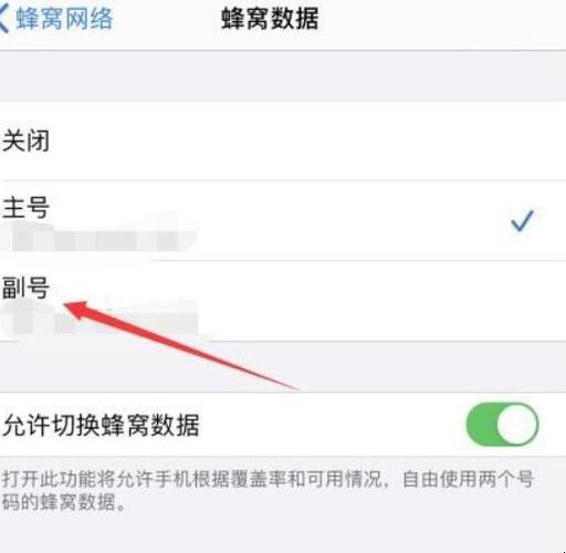 如何在苹果11上关闭双卡模式的流量使用？
