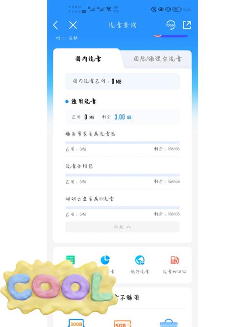 移动锦鲤卡是否包含免定向流量服务？