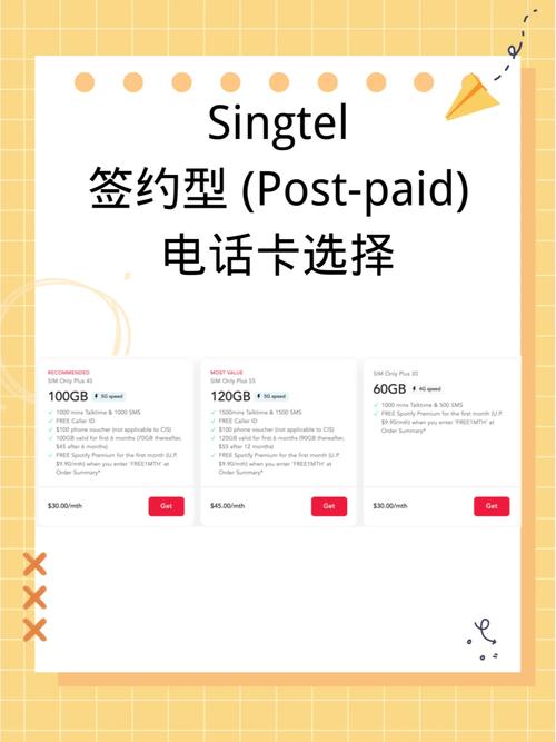 singtel卡购买流量说明