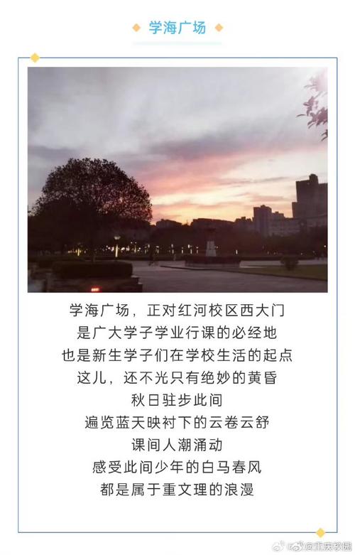 重庆学子流量王卡