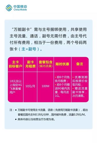 移动巨无霸副卡流量