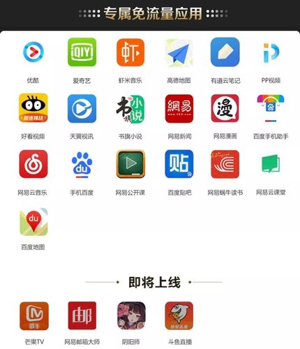 王卡免流量线路