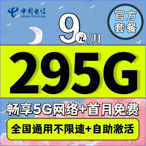 副卡使用电信网络时能否访问数据流量？