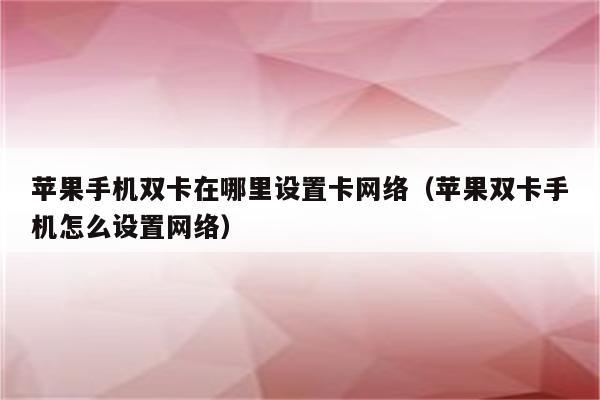 iphone 双卡指定流量