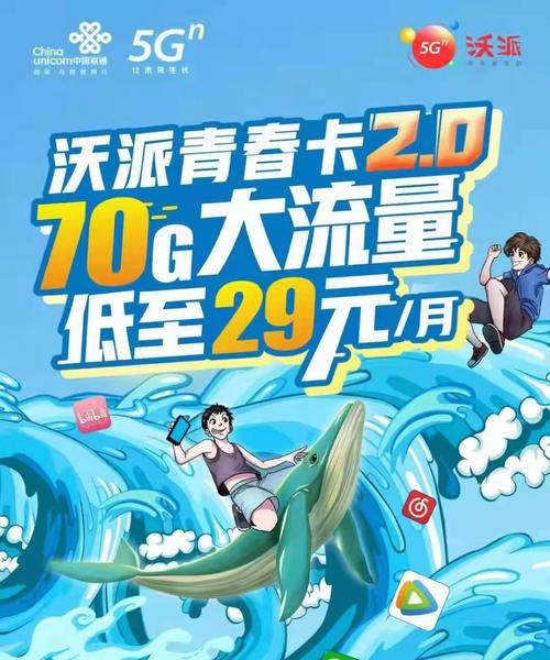 仰光使用什么流量卡