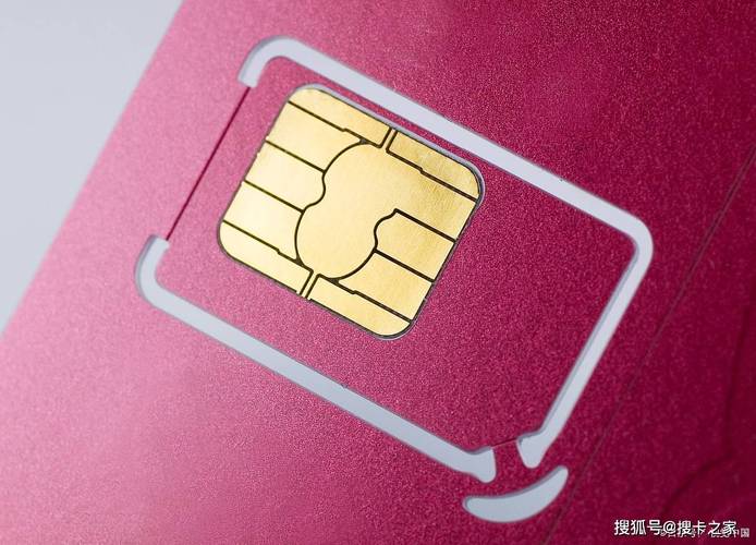 艾叶号卡家的流量卡