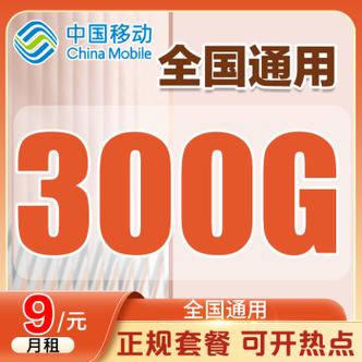长沙移动360g流量卡