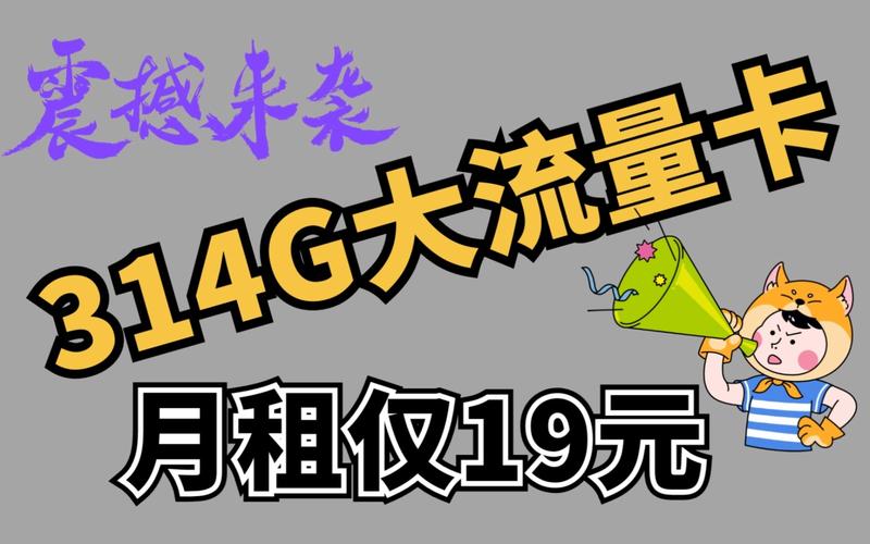 宿舍网络流量卡