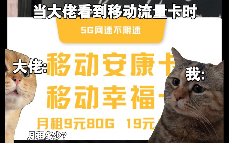 归属地武汉流量卡