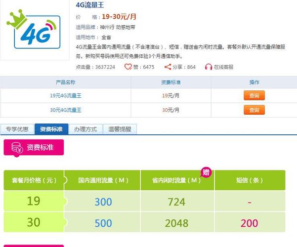 黄卡有多少流量