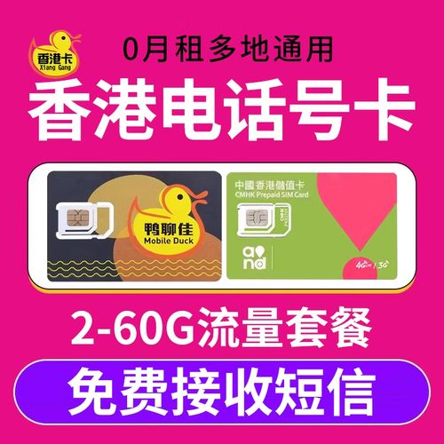 鸭聊佳卡如何查流量
