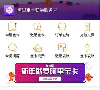 阿里宝卡申请什么流量好