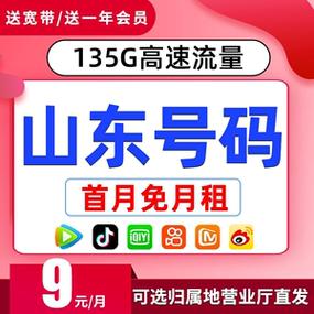 山东移动宝藏卡加流量