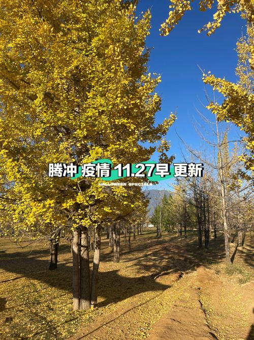 腾冲流量卡办理流程
