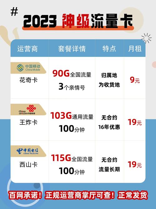 掌厅办理流量卡