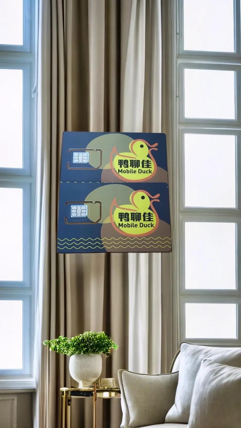 查询鸭聊卡流量