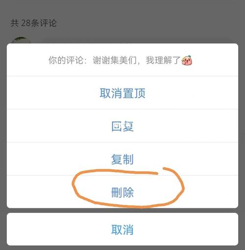 评论被小红书自动删除是为什么？它怎么放链接？