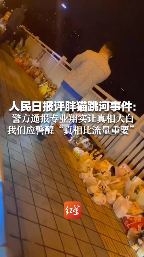 人民日报免流量卡