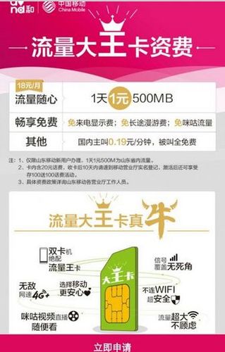 移动大王卡费流量