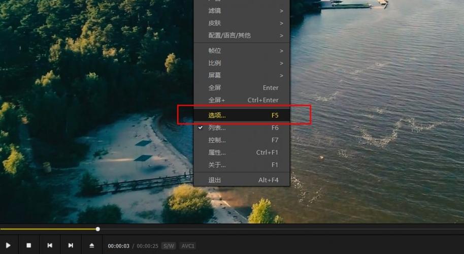 PotPlayer设置切换音视频皮肤时保持当前大小的方法