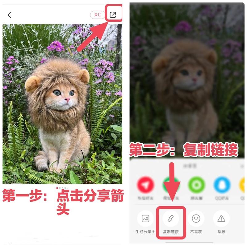 小红书评论区图片怎么去水印?怎么在小红书评论区发图片?