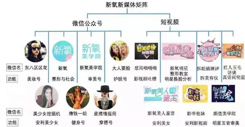 新媒体矩阵的搭建方法是什么?它的管理有哪些方法?