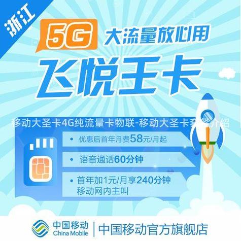 大圣卡免流量应用