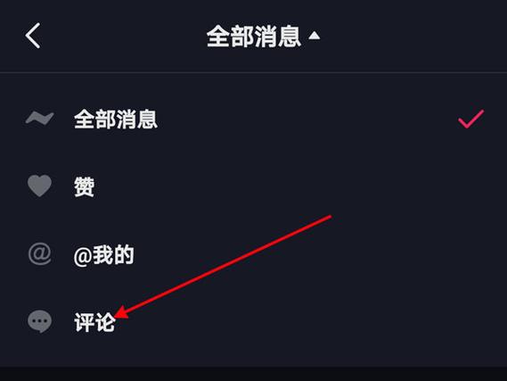如何在抖音中配置评论区管理设置？