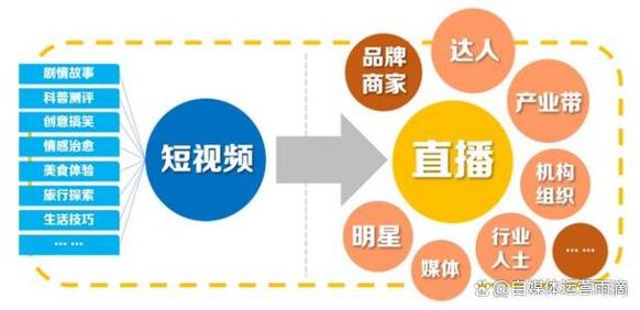 自媒体有哪些领域?它选什么领域以后好带货?