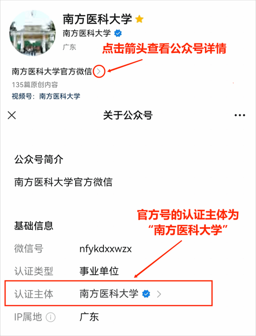 新媒体账号认证主体是什么意思?它该怎么认证?