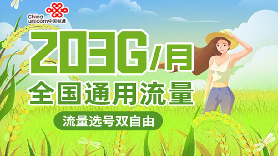 海量卡没有流量