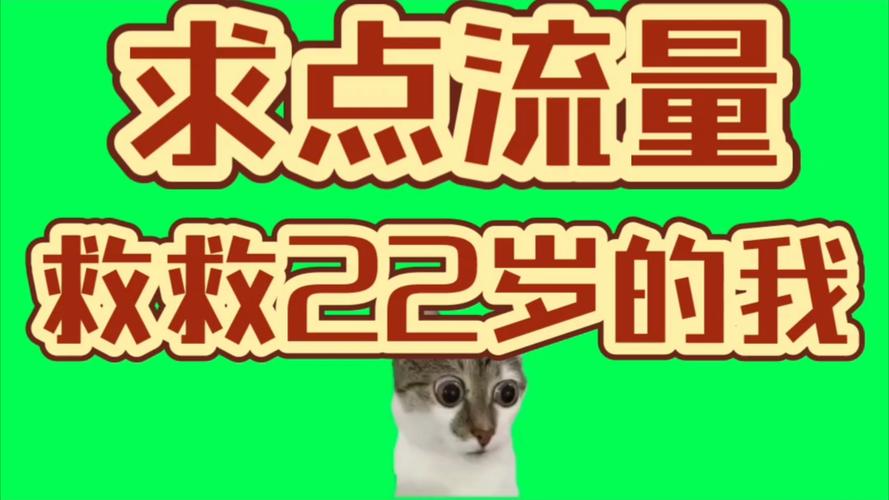 小猫卡免流量