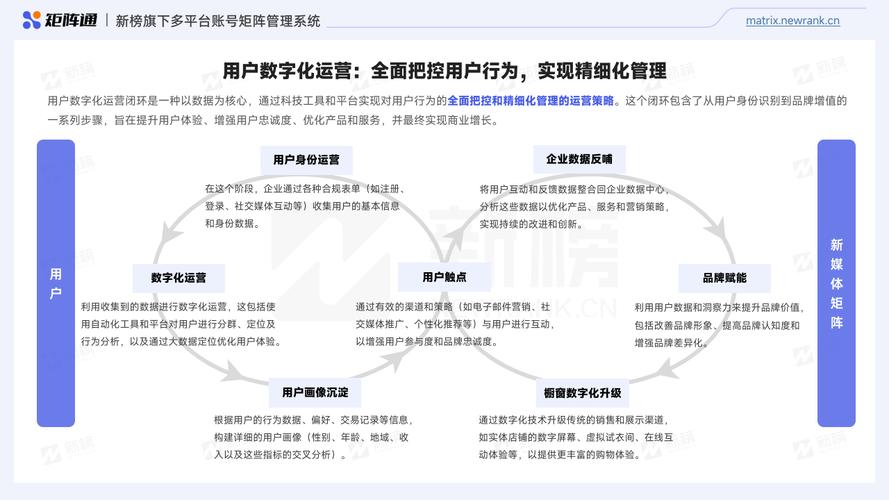 如何撰写高效的新媒体账号运营分析报告，并理解矩阵运营的核心职能？