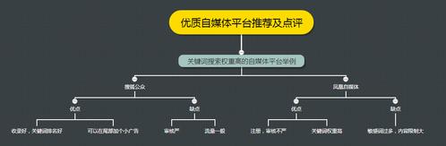 各个自媒体平台的优劣势是什么?平台的类型及特点有哪些?