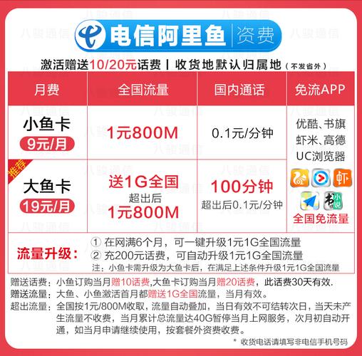 大鱼卡 流量详情