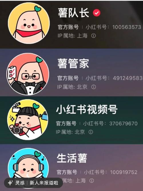 如何在同一部手机上轻松切换两个小红书账户？这种操作对账号有何影响？