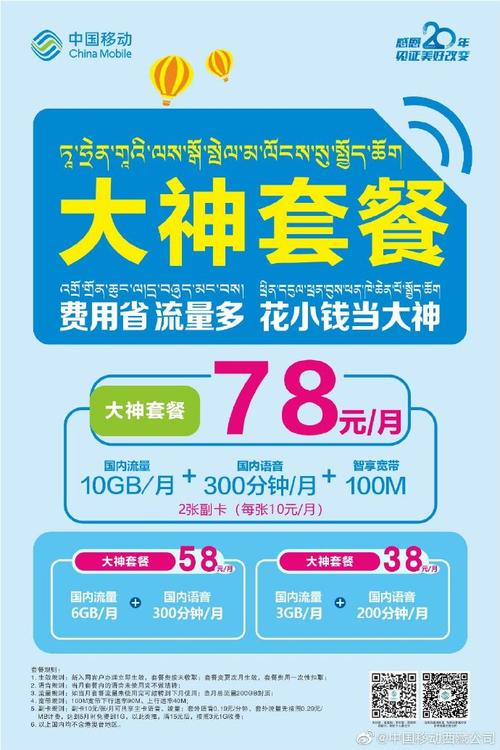 大神卡流量多少