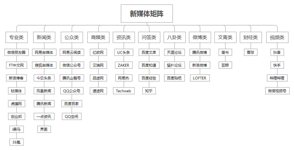 如何构建高效的自媒体和直播矩阵策略？