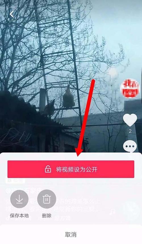 为什么抖音视频发布成功后别人看不到?发布视频需要注意什么?