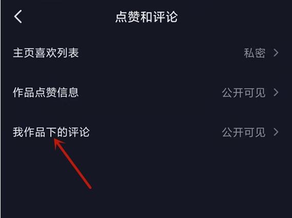 如何调整抖音评论区的隐私设置？我的好友能看到我发布的评论吗？
