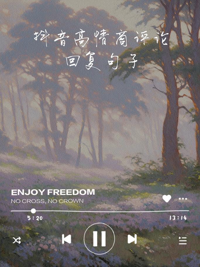 如何撰写抖音回评中的唯美句子以吸引更多评论？