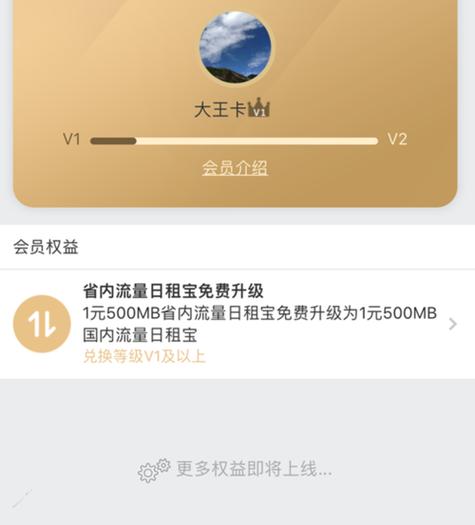 大王卡显示流量包，如何轻松查看和管理你的移动数据？