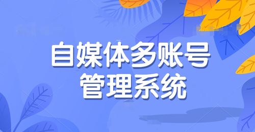 自媒体平台账号管理的方法有哪些?账号管理有什么好处?