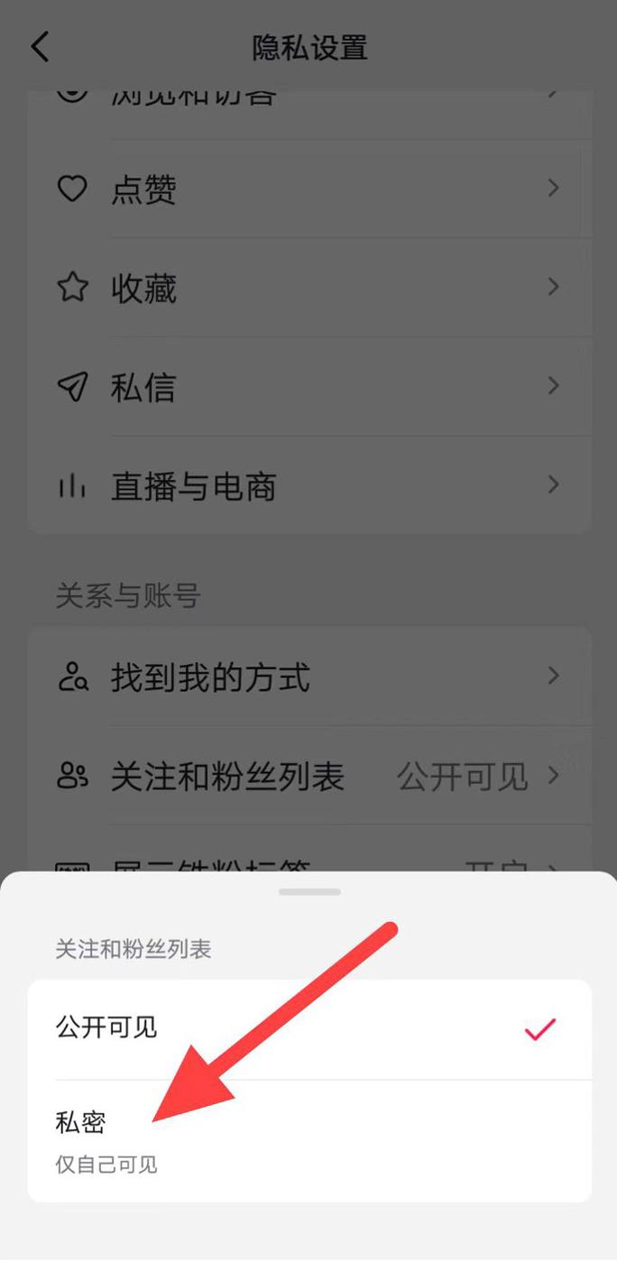 抖音视频发布权限怎么设置的?发布权限设置有什么用途?