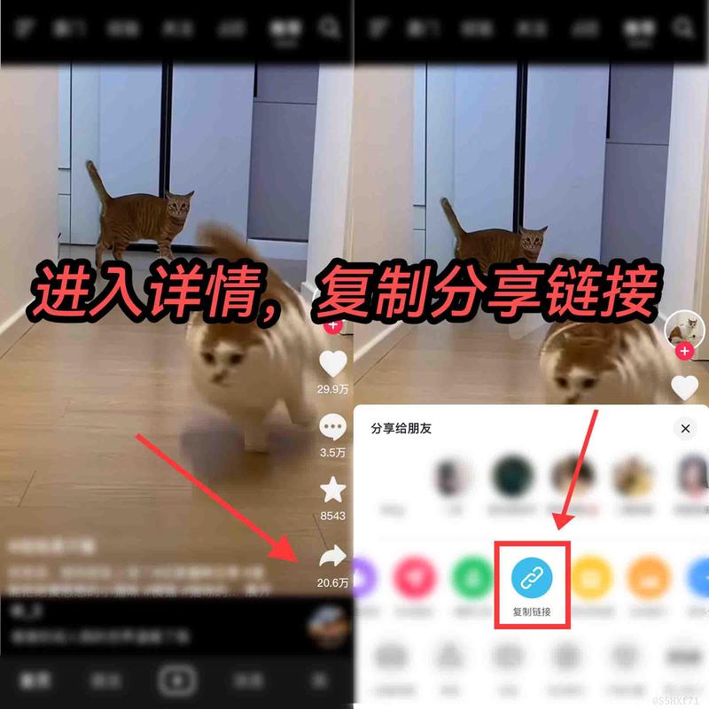 如何在抖音中保存并分享评论区的图片到相册？