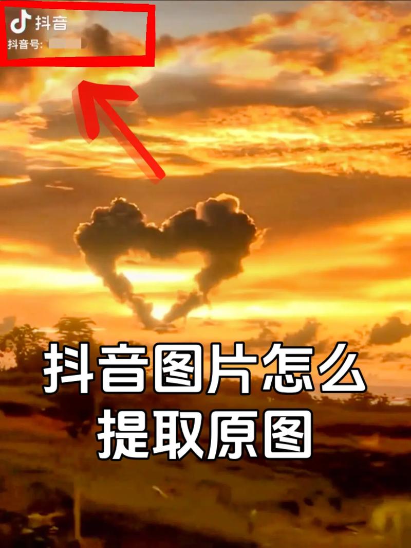 如何从抖音评论区提取图片，以及怎样抓取短视频中的图像？