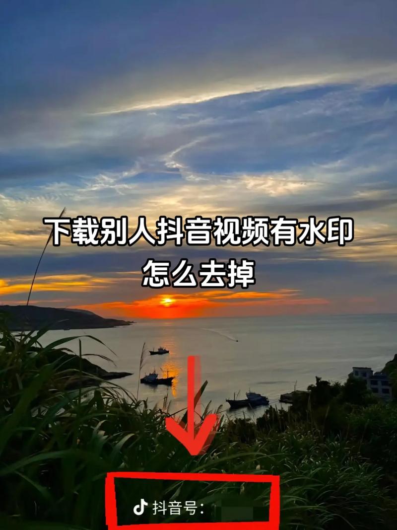 抖音视频中的水印频繁出现，这是否真的有必要？