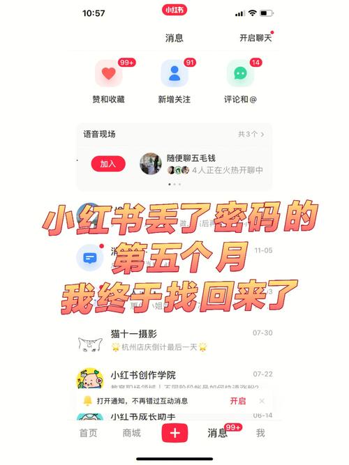 小红书标签如何创建的?小红书标签怎么看全?