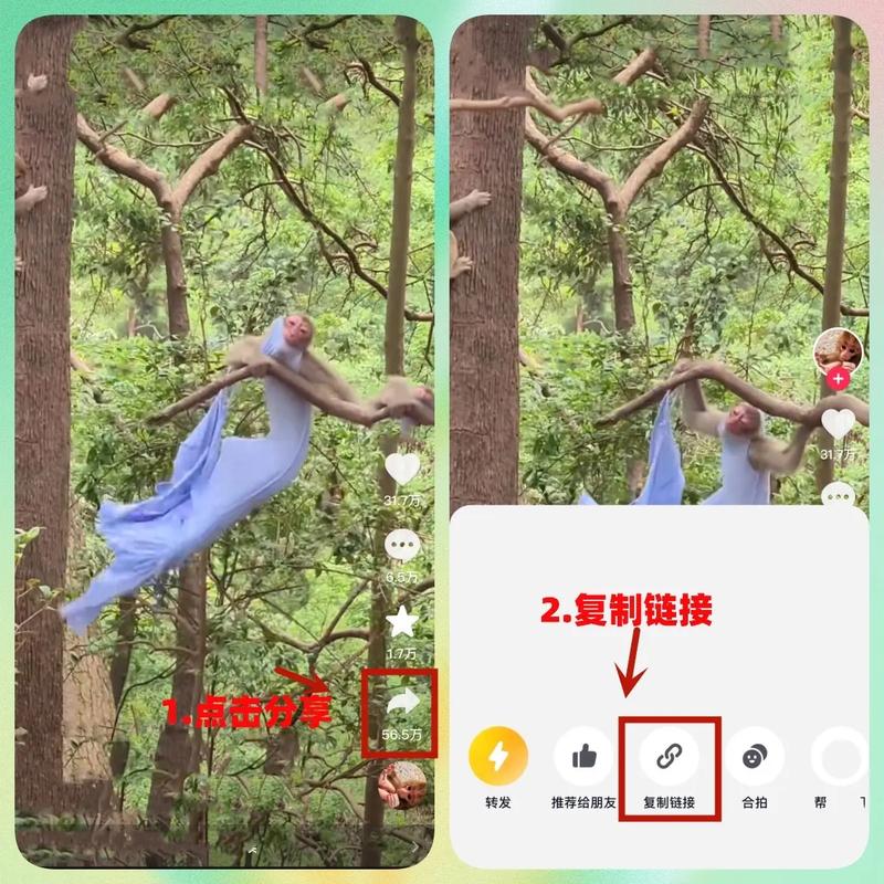 拍抖音为什么有水印?抖音水印如何设置?